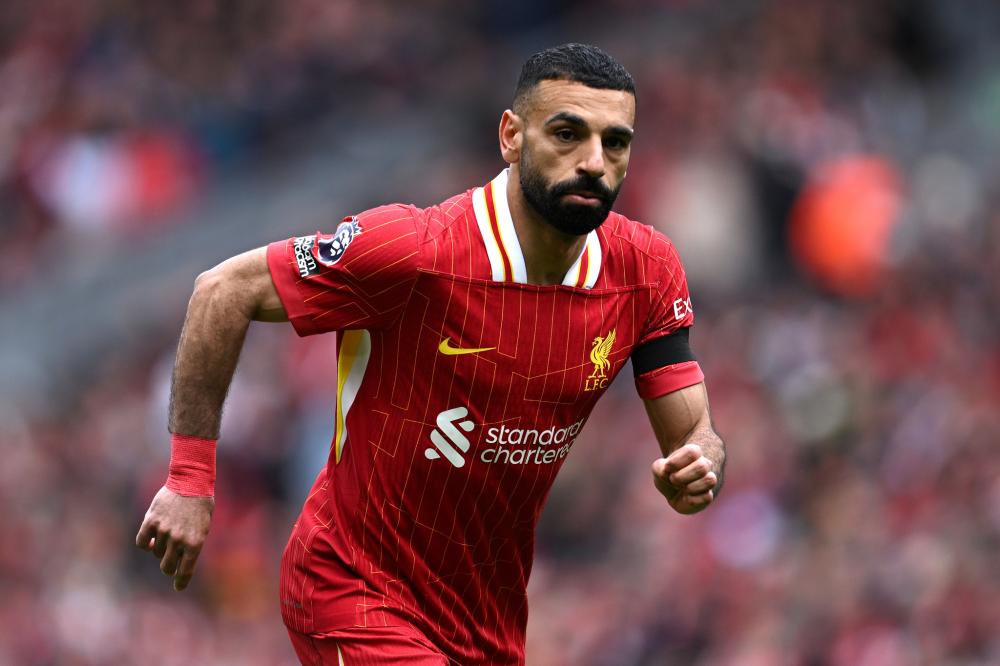 了媒体和球 了媒体和球